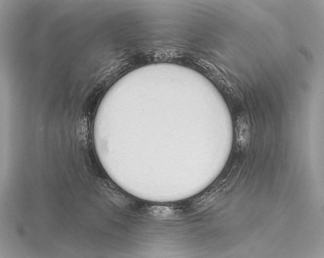 X0000115710519200912101240