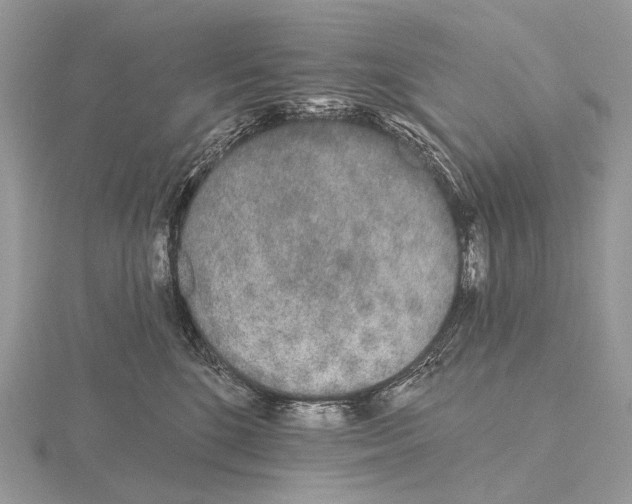 X0000115710520200912101240