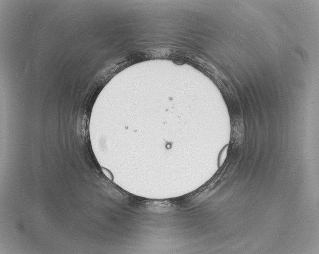 X0000115710525200912101240