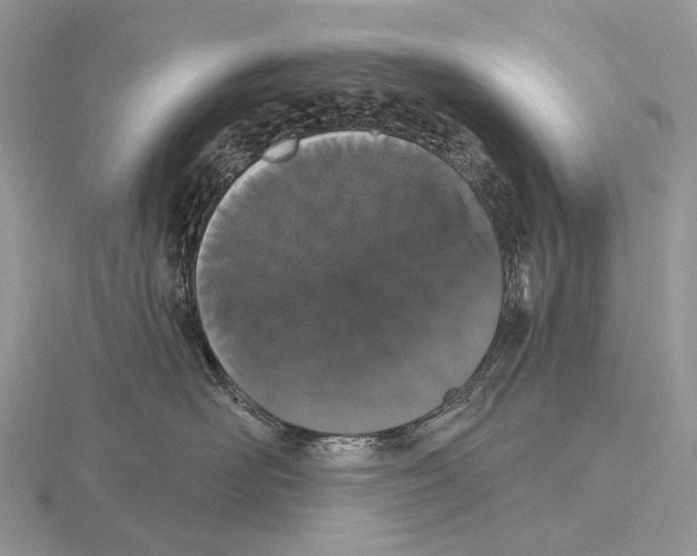 X0000115710526200912101240