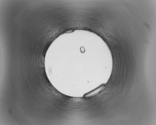 X0000115710528200912101240