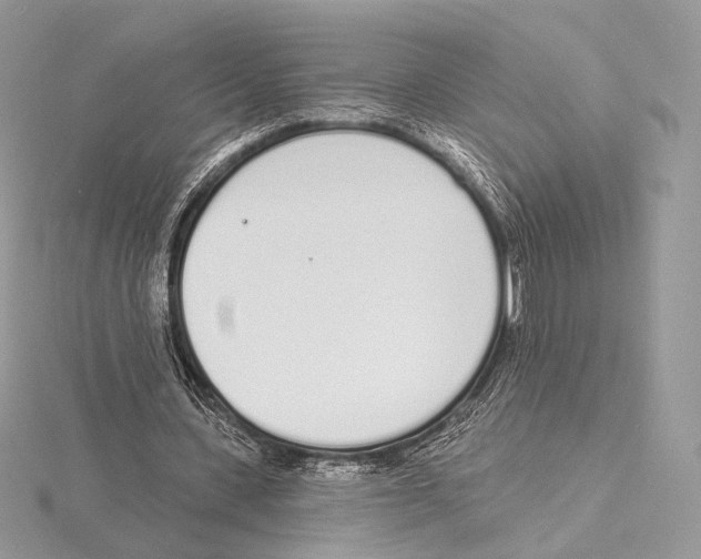 X0000115710531200912101239