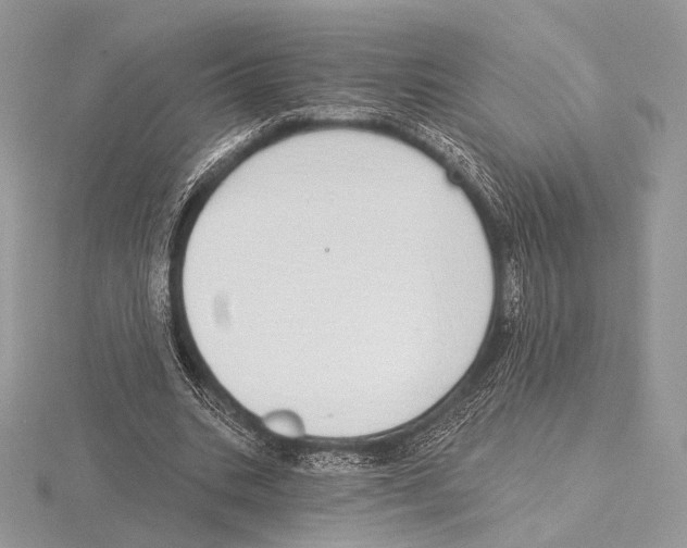 X0000115710535200912101239