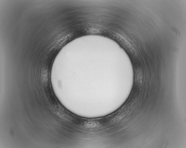 X0000115710549200912101239