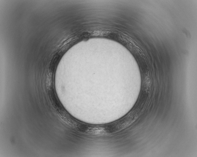 X0000115710554200912101239