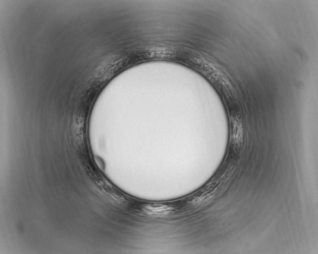 X0000115710557200912101239