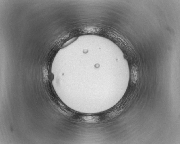 X0000115710558200912101239