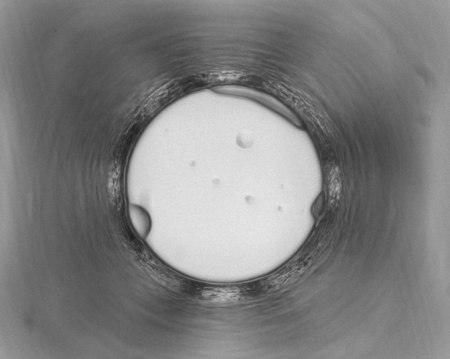 X0000115710559200912101239