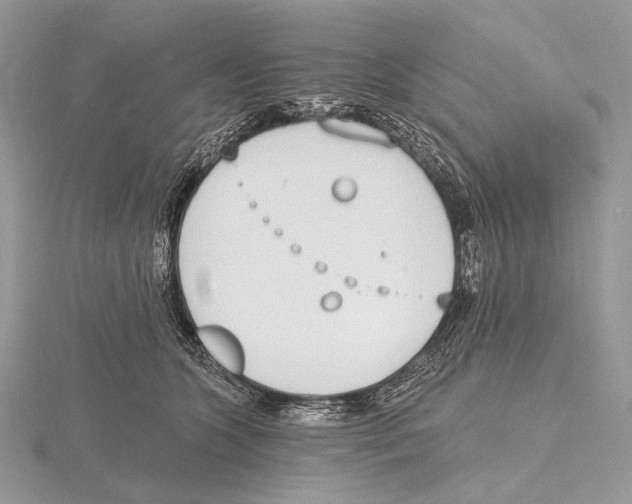 X0000115710563200912101240