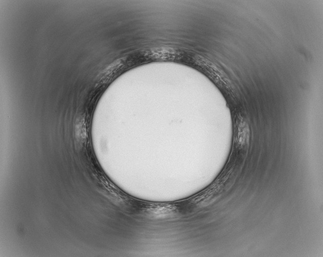 X0000115710569200912101240