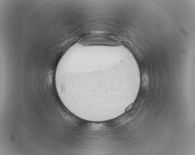 X0000115710570200912101240