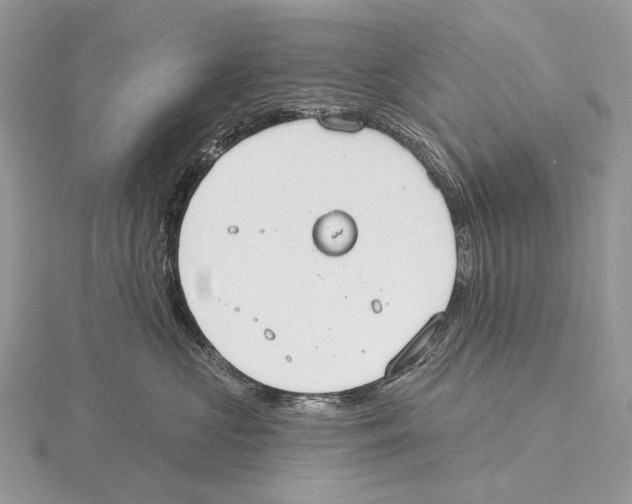 X0000115710573200912101240