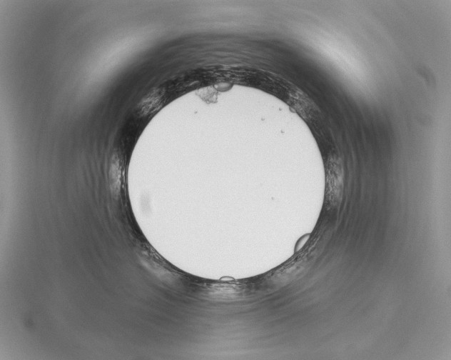 X0000115710574200912101240