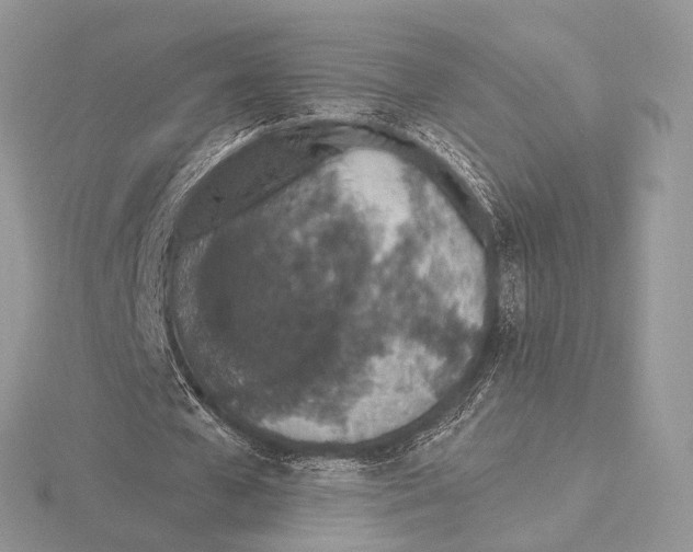 X0000115710577200912101239