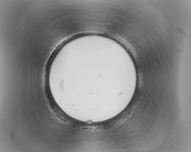 X0000115710580200912101239