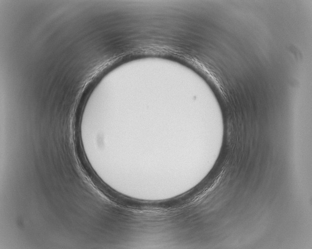 X0000115710581200912101239