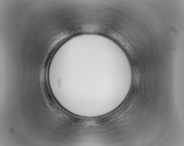 X0000115710583200912101239