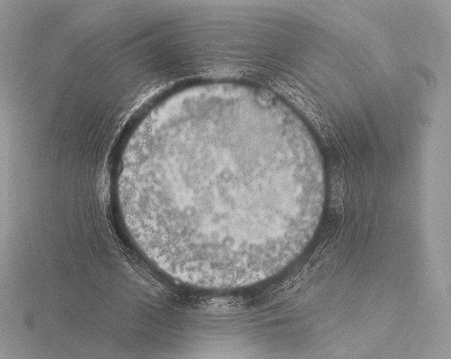 X0000115710584200912101239