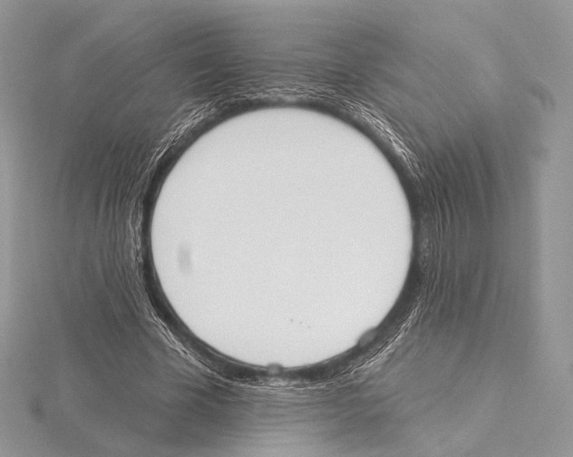 X0000115710585200912101239