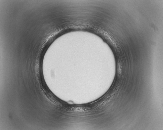 X0000115710588200912101239