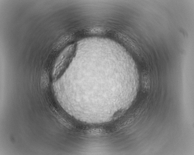 X0000115710593200912101239