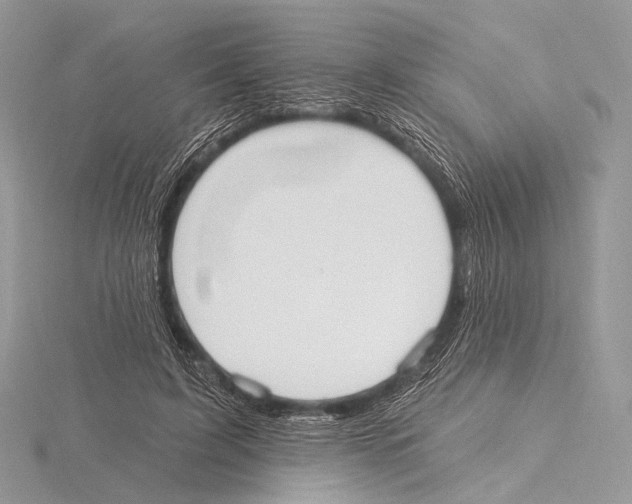 X0000115710595200912101239