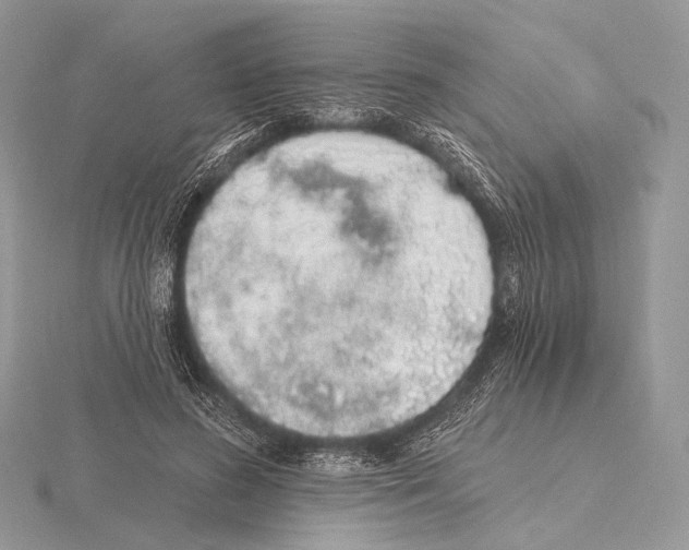 X0000115710596200912101239