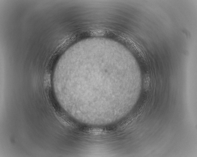 X0000115710598200912101239