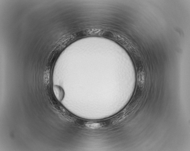 X0000115710602200912101239