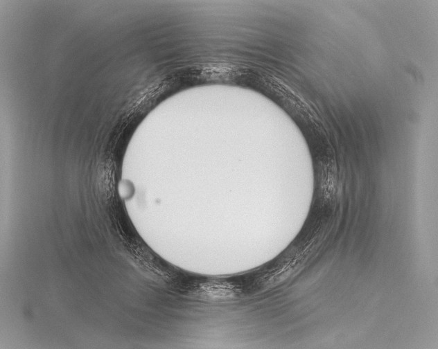 X0000115710603200912101239