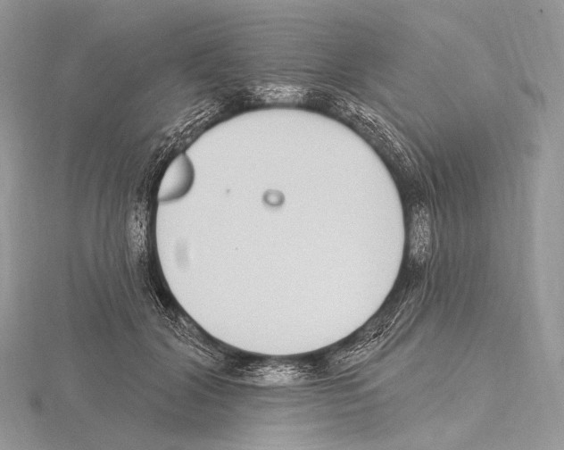 X0000115710604200912101238