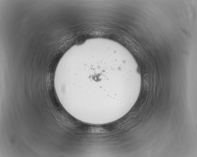 X0000115710605200912101238