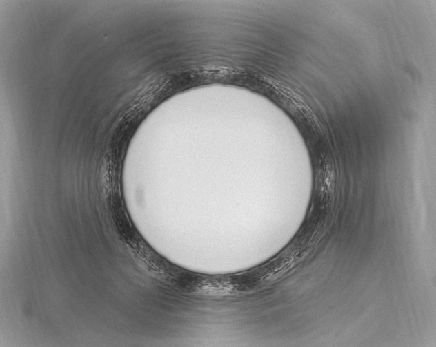 X0000115710606200912101238