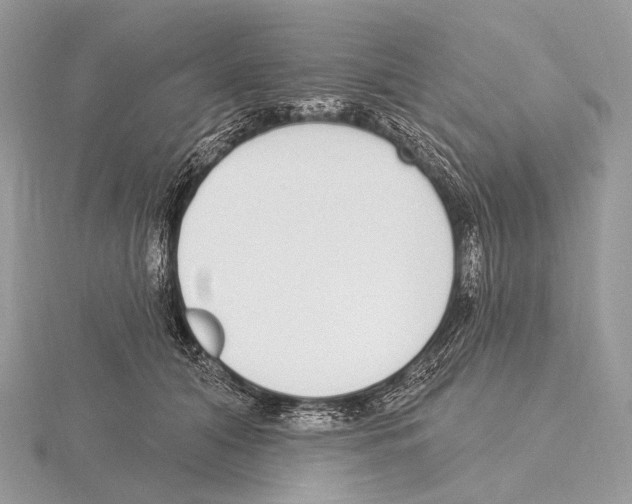 X0000115710608200912101238