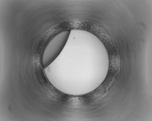 X0000115710611200912101238