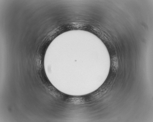 X0000115710615200912101238