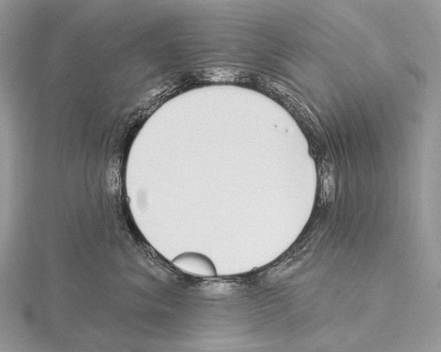 X0000115710620200912101238