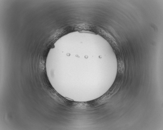 X0000115710621200912101238