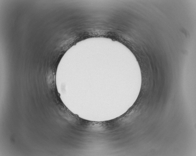 X0000115710624200912101238