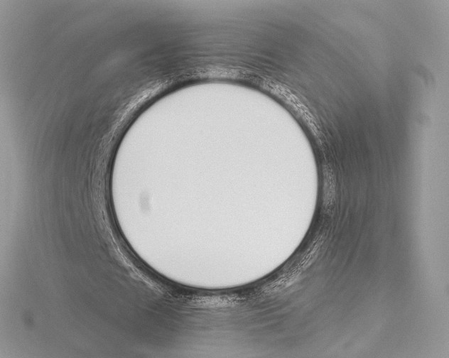 X0000115710625200912101238