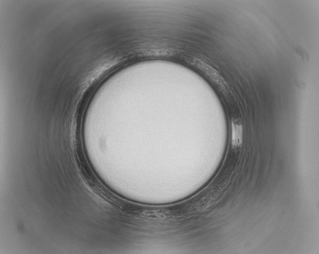 X0000115710627200912101238