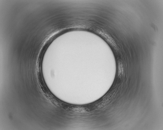 X0000115710628200912101238