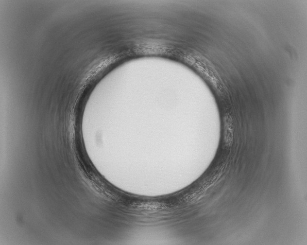 X0000115710631200912101238