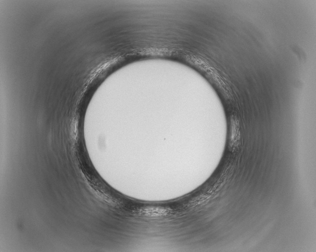 X0000115710636200912101238