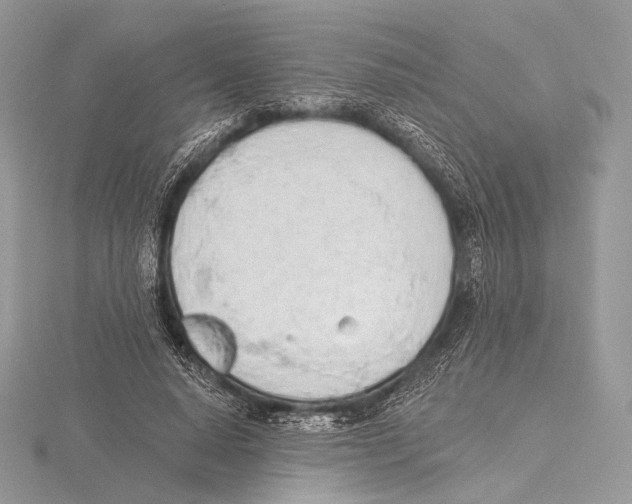 X0000115710640200912101238