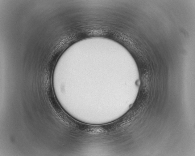 X0000115710642200912101238