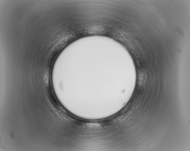 X0000115710644200912101238