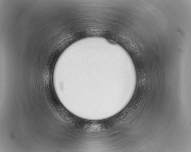 X0000115710647200912101238