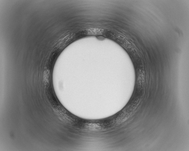 X0000115710649200912101238