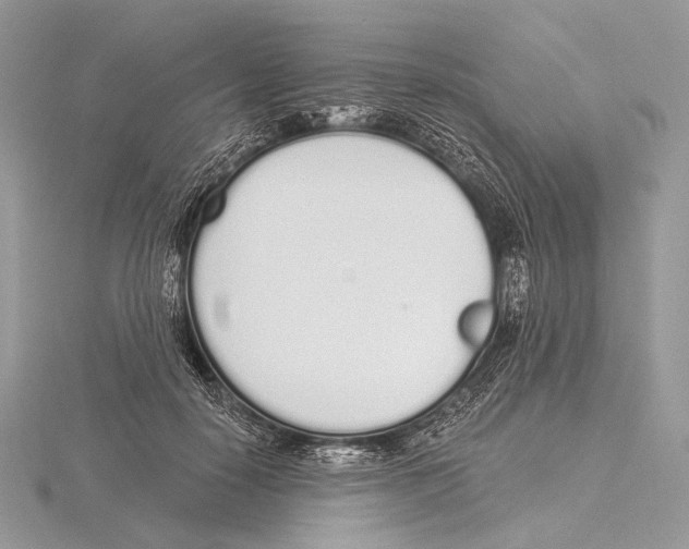 X0000115710650200912101238